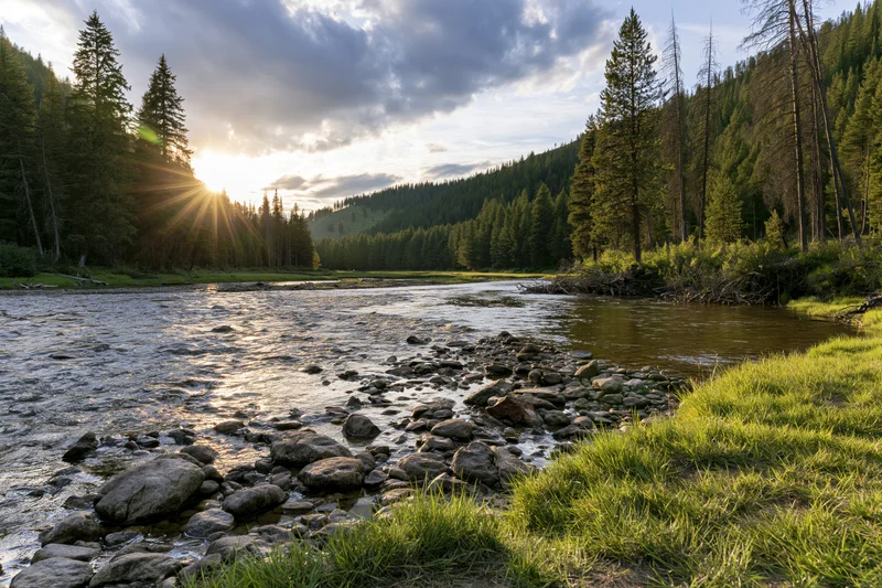 Shallow mountain river winding through a forested valley at sunset