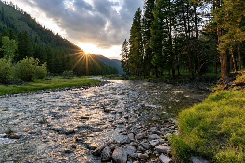 Shallow mountain river flowing through a forested valley at sunset