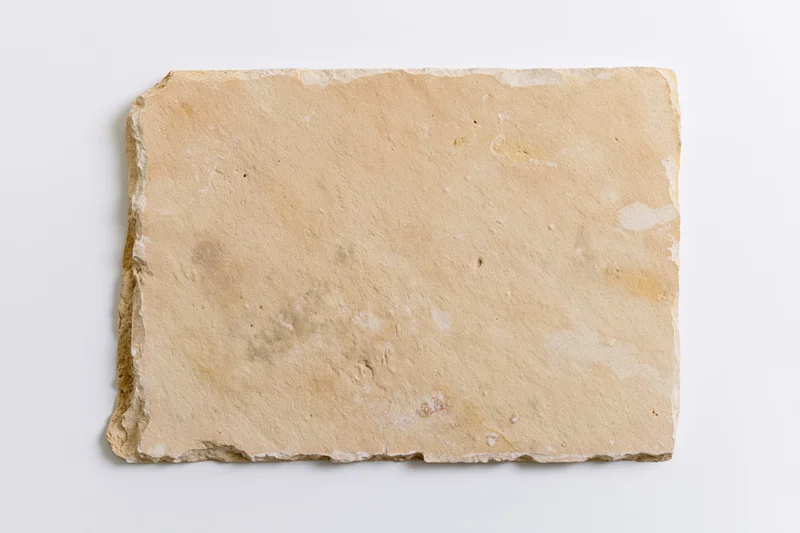 Weathered sandstone slab on plain white background