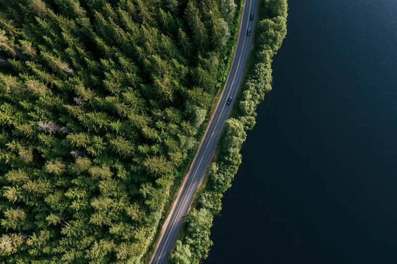 Aerial top-down view of a two-lane road running between a dense forest and a dark lake with cars driving along it