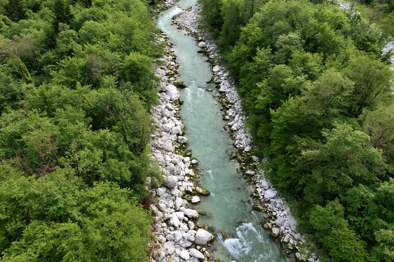 Aerial top-down view of a narrow glacial river flowing through a dense green forest flanked by white rocks