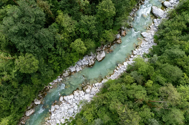 Aerial top-down view of a narrow glacial river flowing through dense forested valley with rocks and boulders