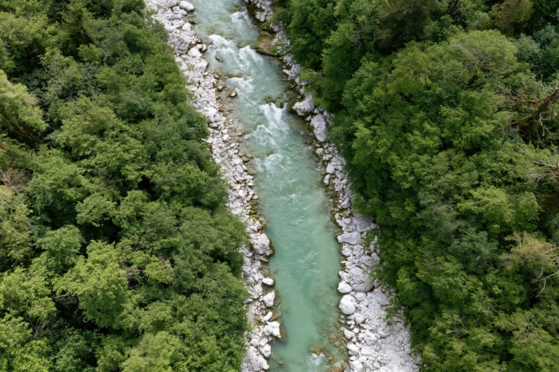 Aerial top-down view of a narrow glacial river flowing through a dense green forested valley