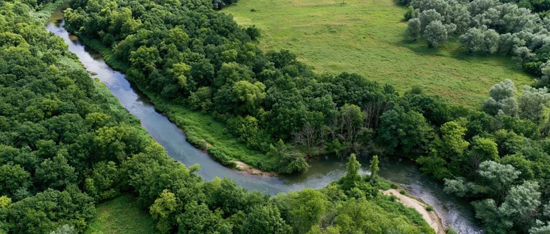 Aerial view of a winding river flowing through dense green forest and open meadow