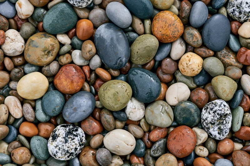 Close-up flat lay of wet river pebbles covering the entire frame
