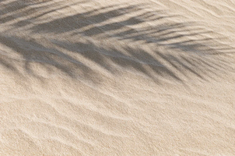 Overhead closeup of dry beach sand with palm shadow pattern