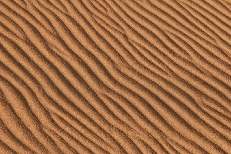 Wind-rippled sand dune surface viewed from above in a close-up overhead shot