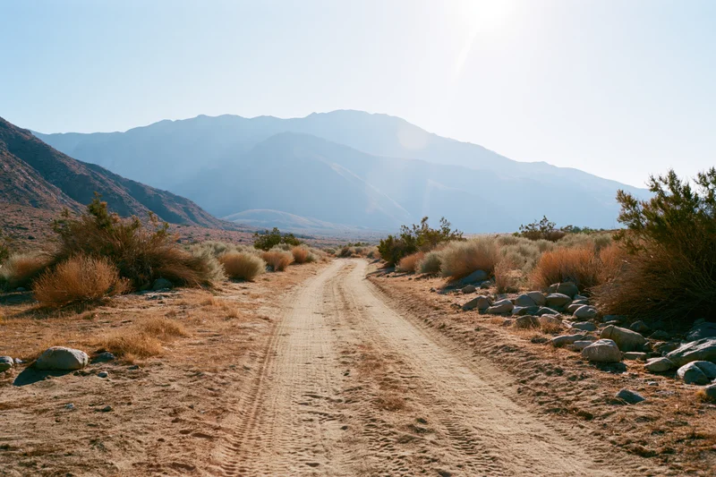 Dirt road winding through arid desert scrubland with mountains in the distance