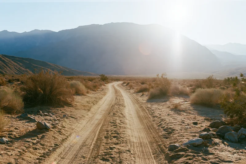 Winding dirt road through arid desert scrubland with distant mountains under bright sun