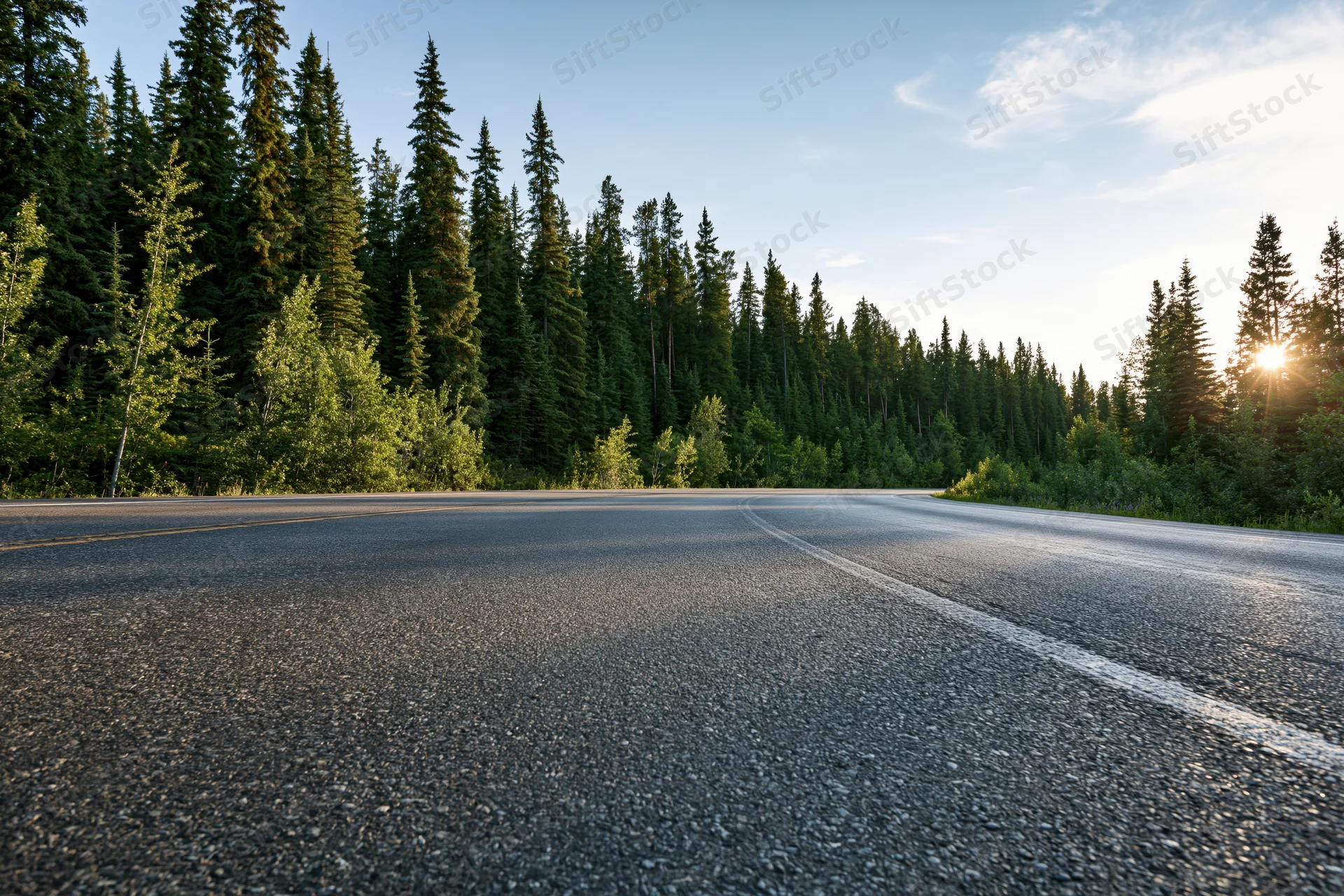 Empty asphalt highway curving through dense boreal forest at sunrise