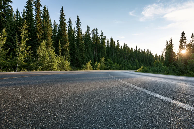 Empty asphalt highway curving through dense boreal forest at sunrise