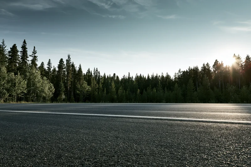 Empty asphalt highway stretching toward dense boreal forest at sunrise