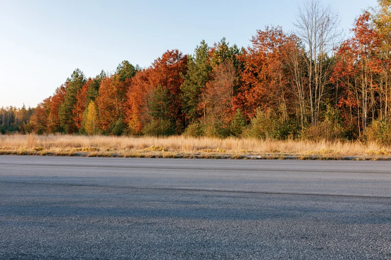 Empty asphalt road stretching toward a forest of autumn trees with colorful foliage and dry grass along the roadside