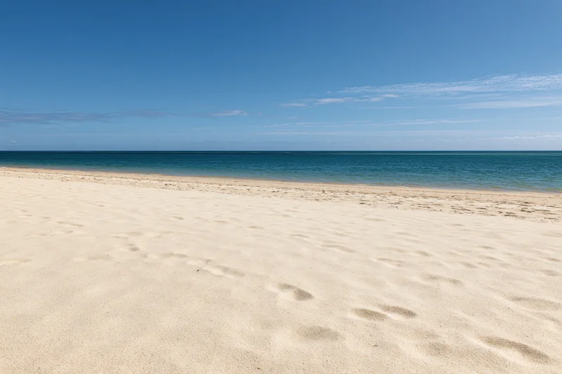 Sandy beach stretching to calm blue ocean under clear sky