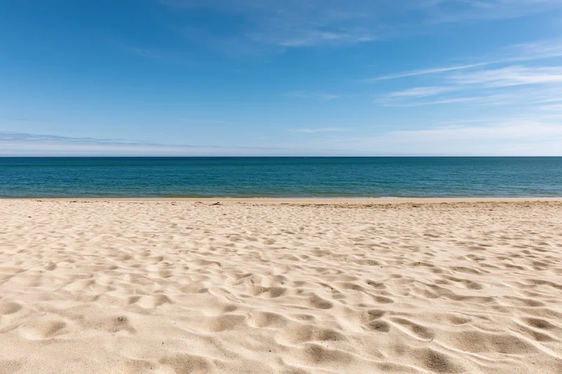 Sandy beach stretching to calm blue ocean under clear sky
