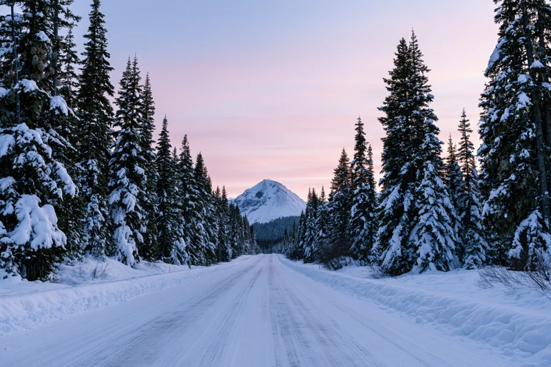 Snow-covered road stretching through a pine forest toward a distant mountain at twilight