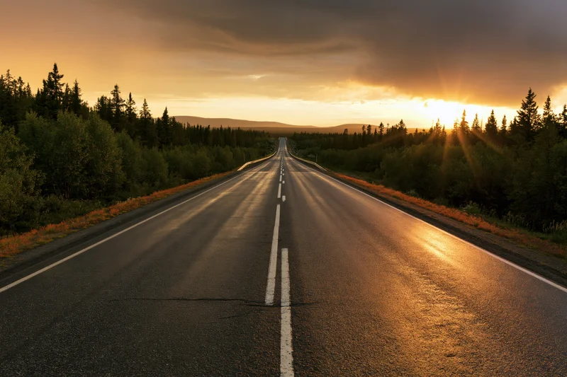 Straight asphalt highway stretching toward the horizon at sunset through a forested landscape
