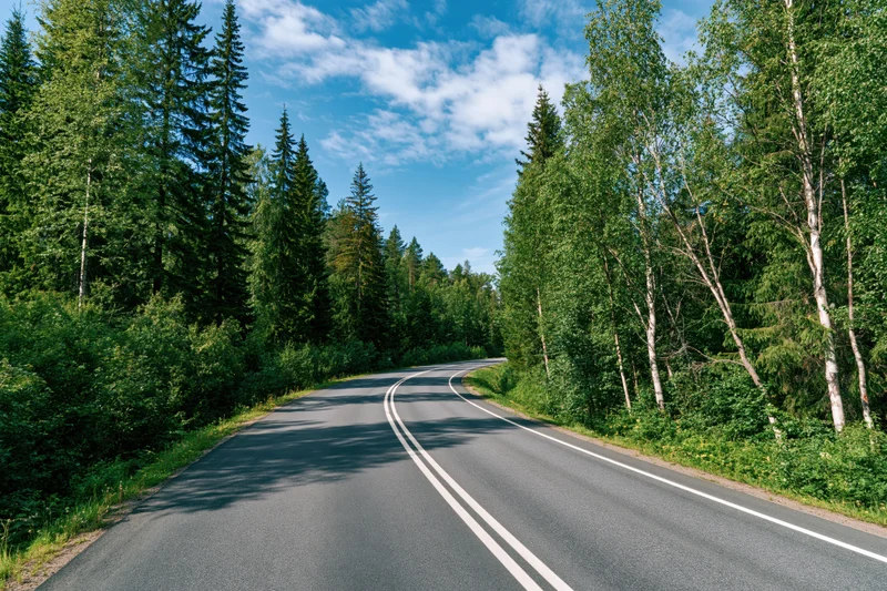 Winding asphalt road curving through dense forest under blue sky with scattered clouds