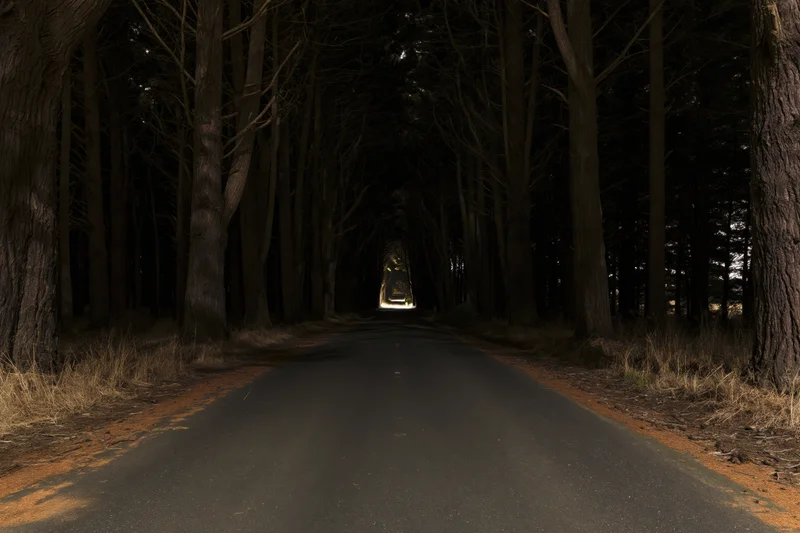 Straight asphalt road through dense forest tunnel leading to distant light