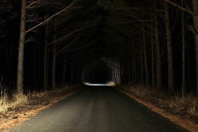 Straight asphalt road through dark forest at night