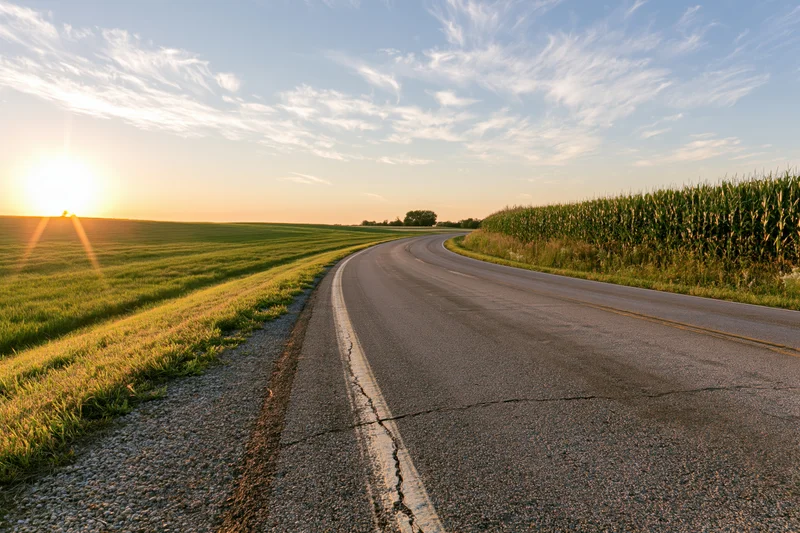 Winding country road curving toward the horizon at sunset beside a cornfield