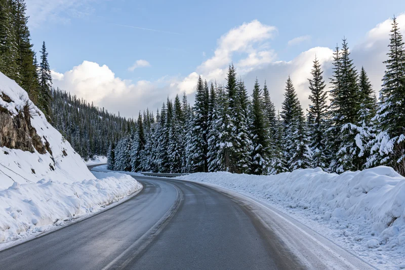 Winding asphalt road curves through snow-covered pine forest in mountain landscape