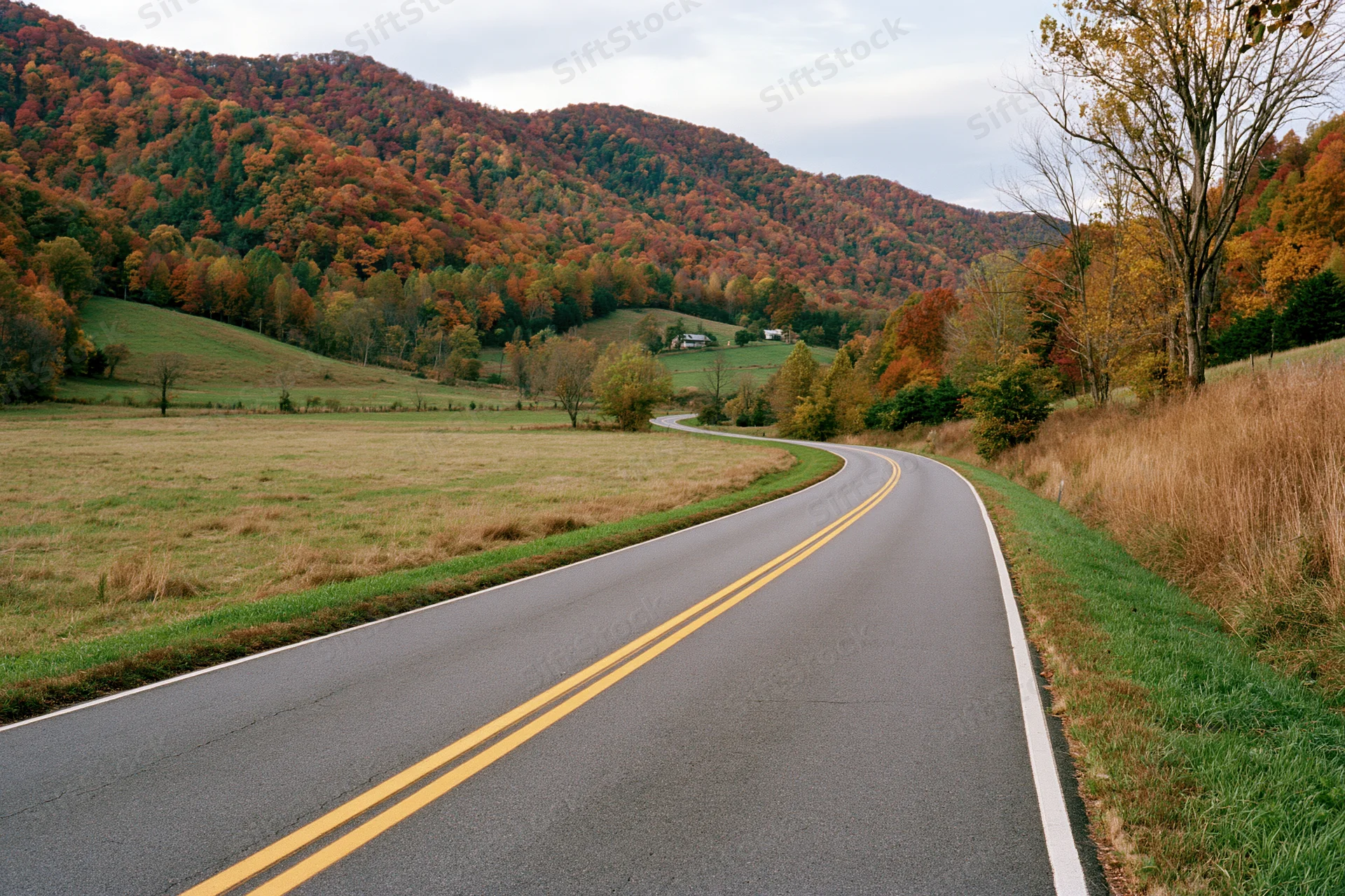 Winding two-lane asphalt road through autumn countryside with colorful forested hills and open fields
