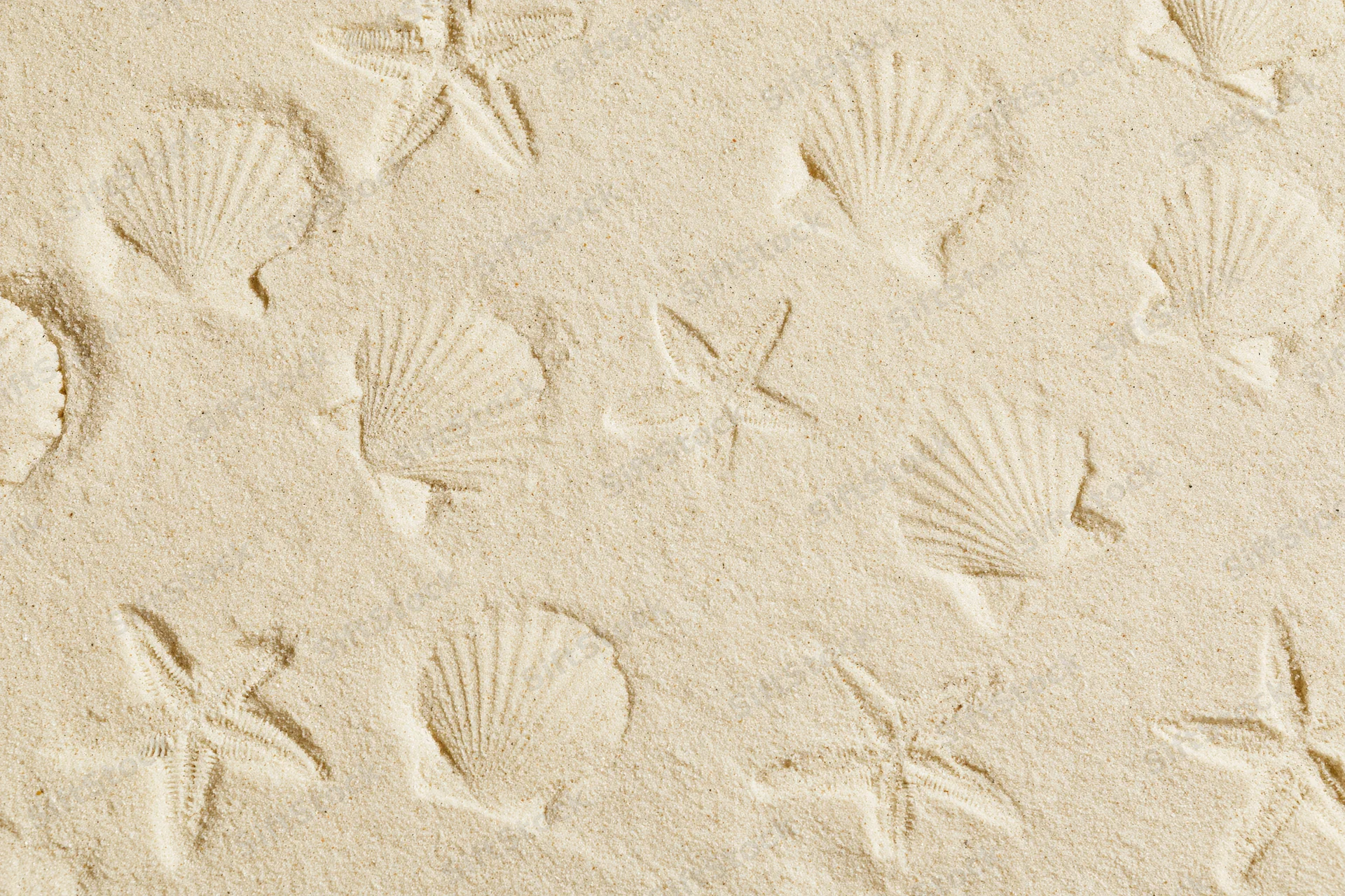 Shallow imprints of shells and starfish in dry beach sand, overhead view