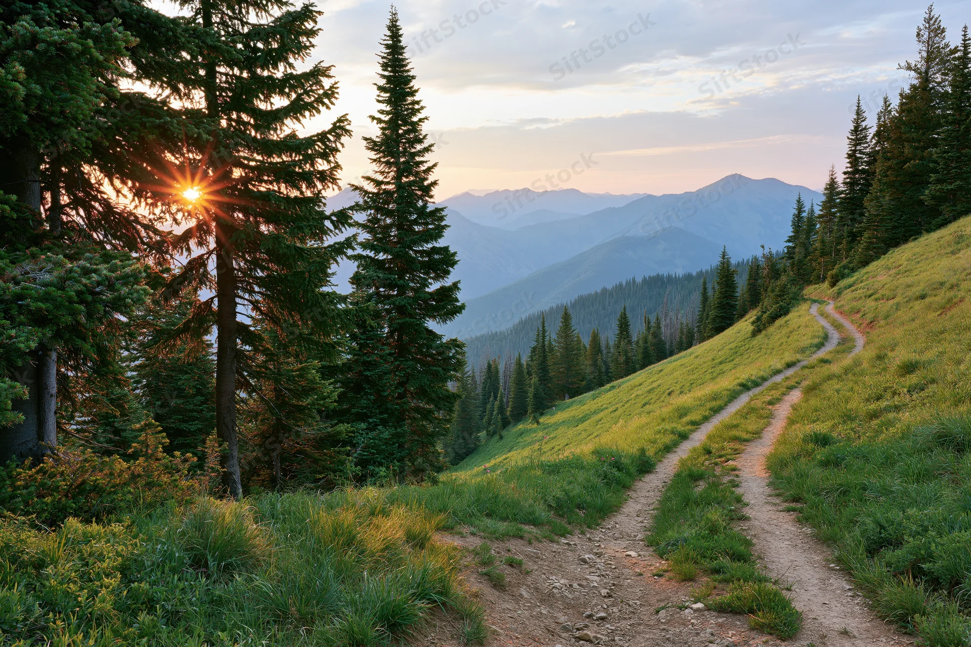 Winding dirt trail through pine forest on mountain slope at sunset