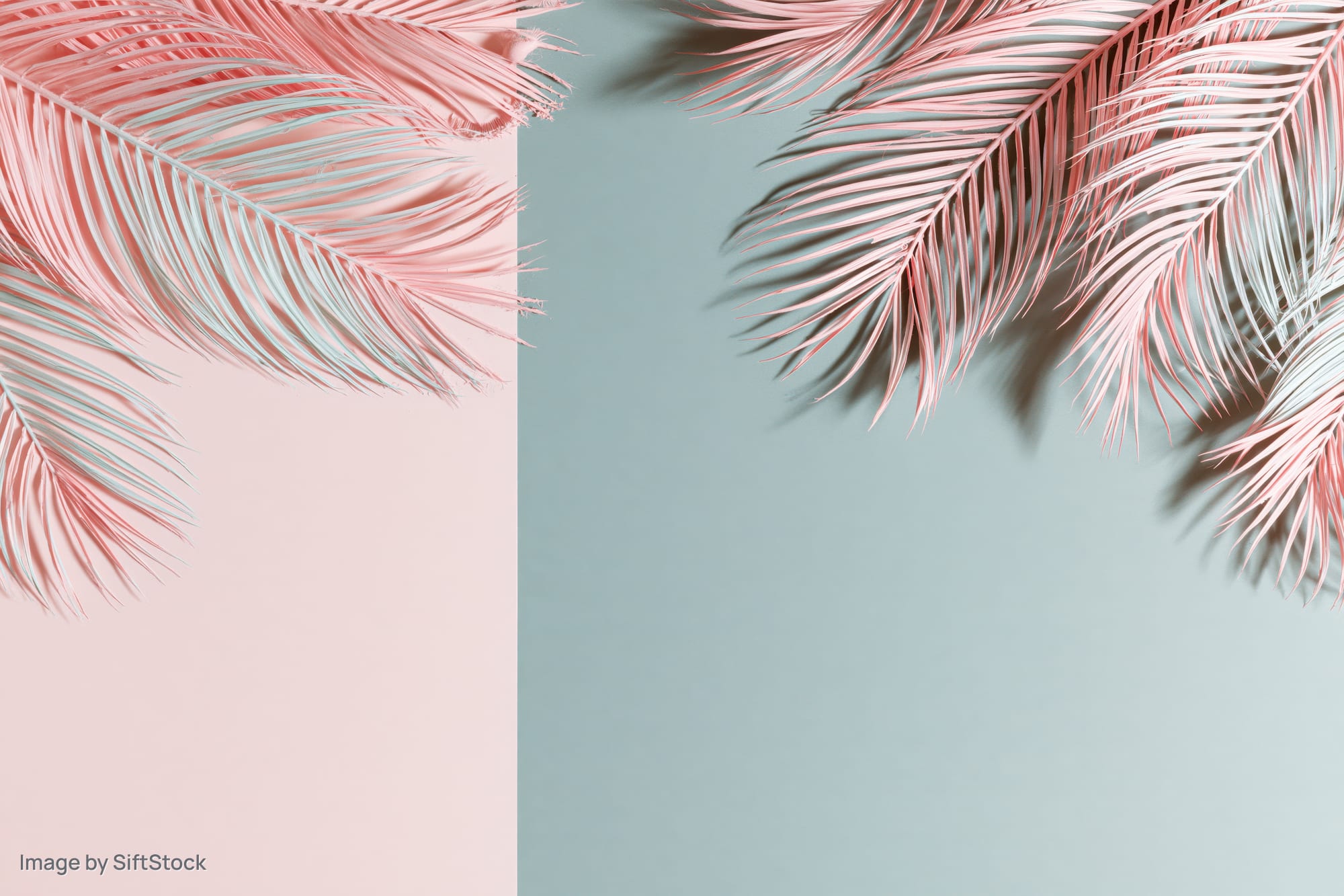 Pink tropical palm fronds arranged in corners over pastel pink and mint background with copyspace