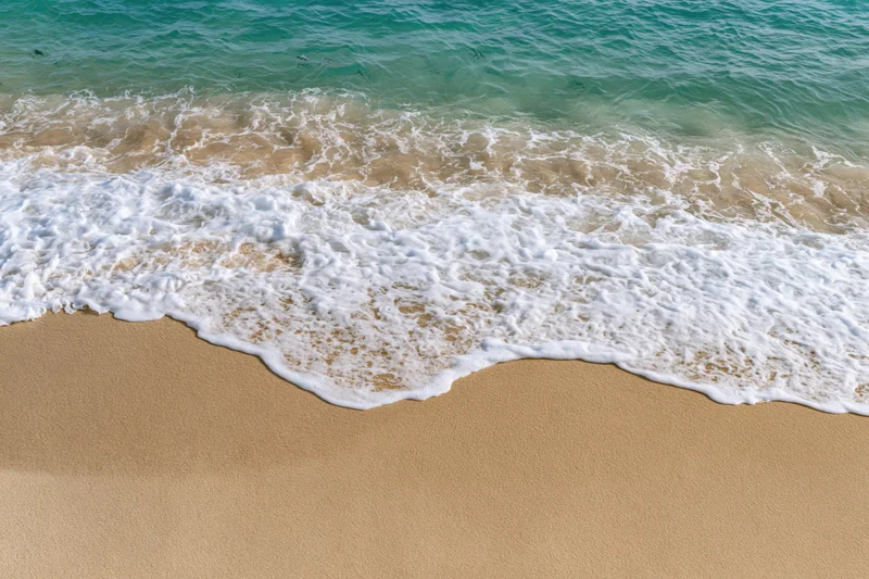 Shallow ocean wave with white seafoam washing over flat sandy beach