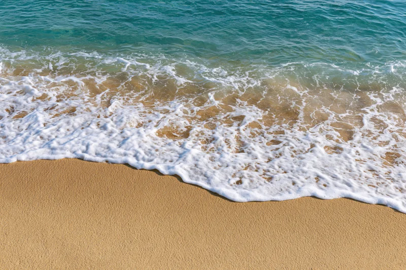 Shallow ocean wave with white seafoam washing over flat sandy beach