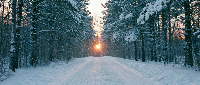 Snow-covered forest road stretching toward a low winter sunset