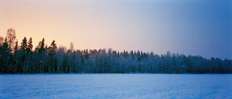 Snow falling over a frozen field bordered by a dense forest at twilight