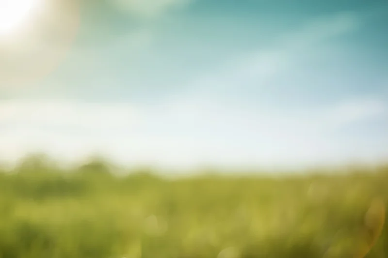 Blurred green field under blue sky with sunlight and bokeh effect