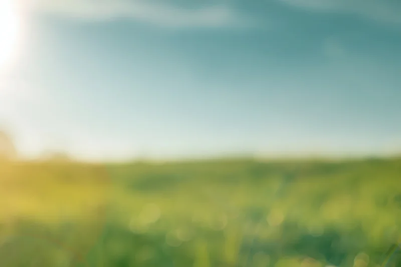 Blurred green field under blue sky with sunlight and bokeh effect