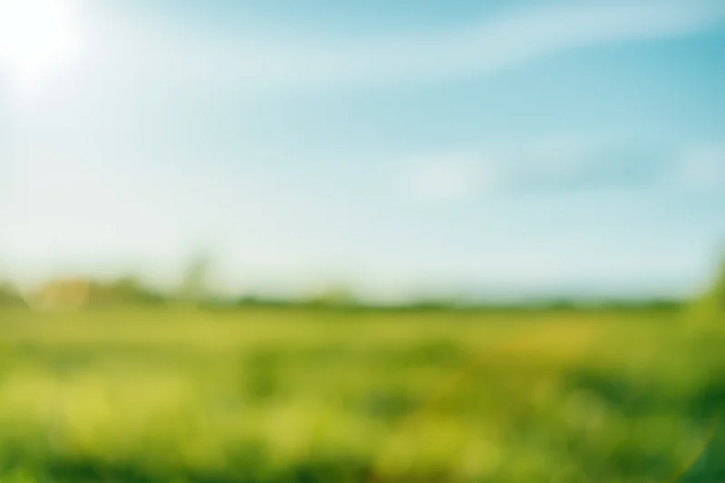 Blurred green field under blue sky with soft sunlight