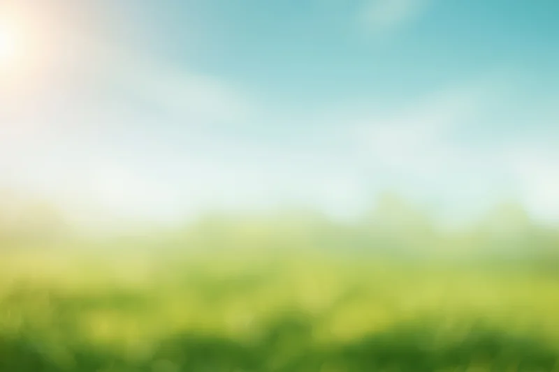 Blurred green grass field under blue sky with sunlight