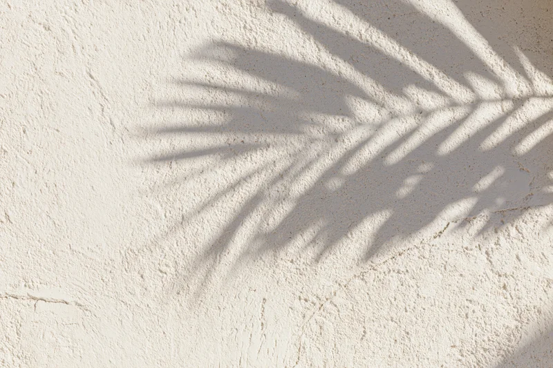 Shadow of palm leaf on textured white wall
