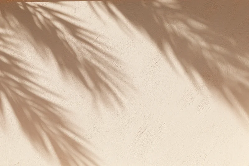 Palm frond shadows cast across a textured plaster wall