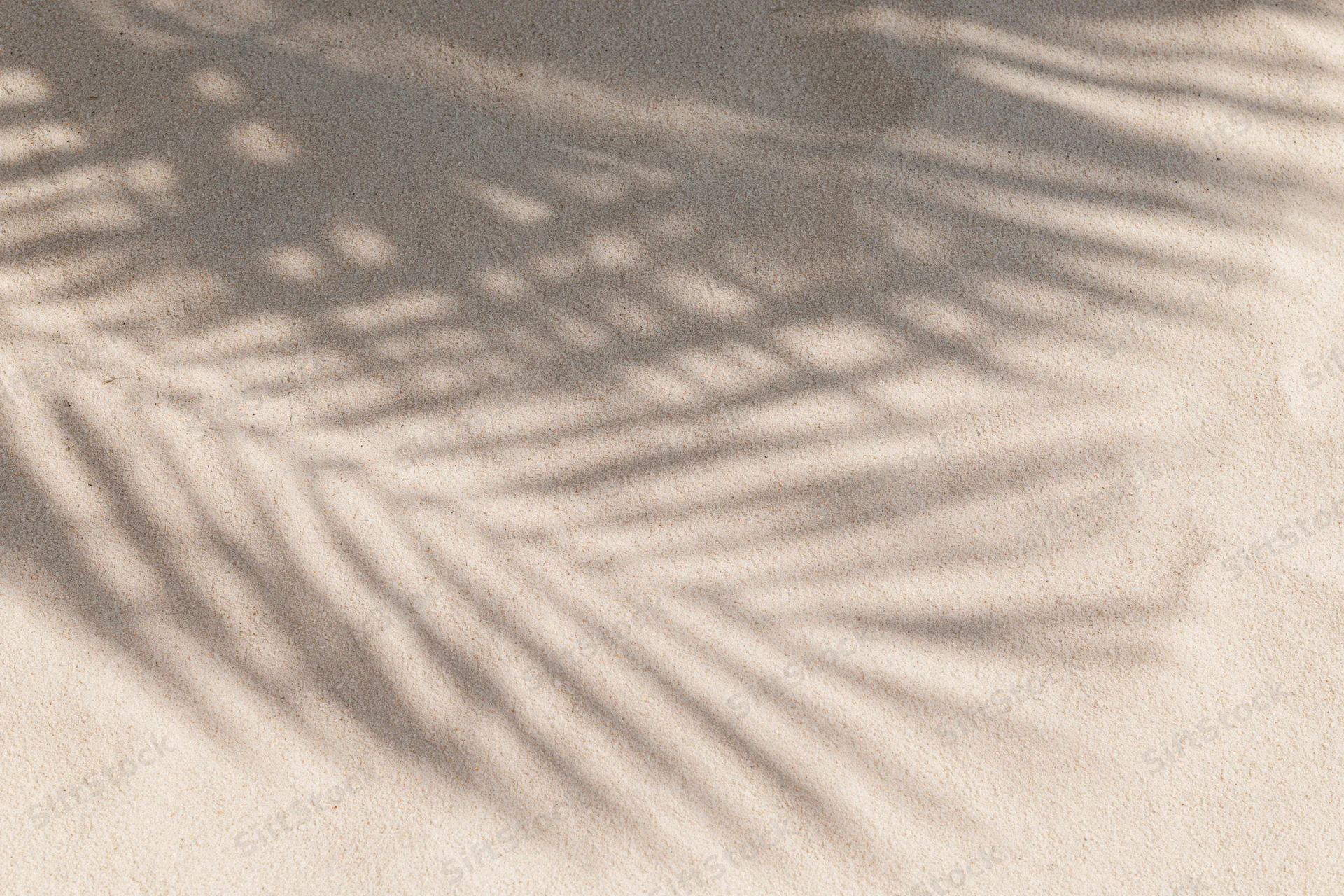 Soft shadows of palm fronds on dry beach sand under sunlight