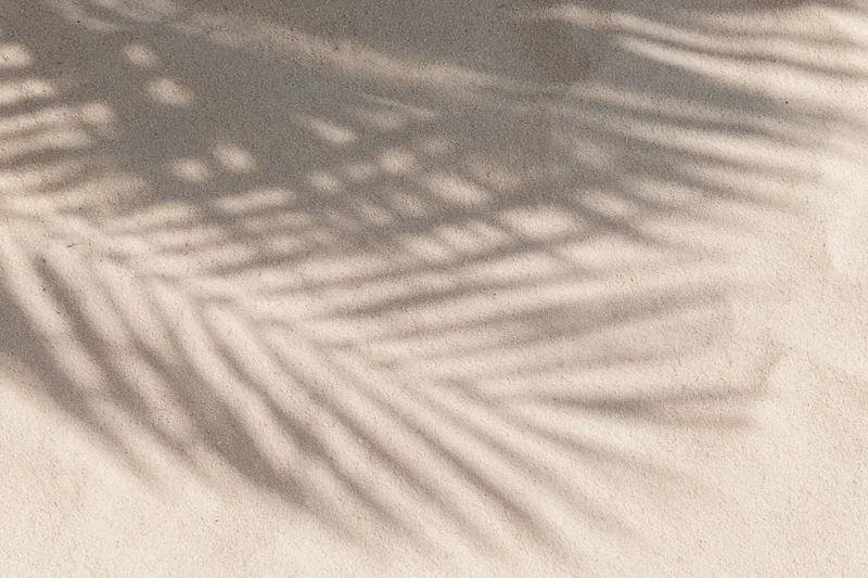 Soft shadows of palm fronds on dry beach sand under sunlight