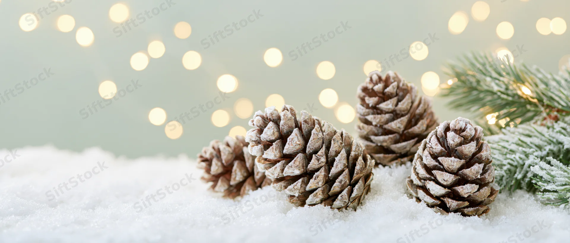 Frost-dusted pine cones resting in soft snow beside a fir branch with blurred holiday lights in the background