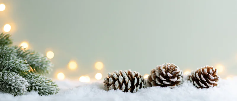 Frost-dusted pine cones resting in soft snow beside a snowy evergreen branch with warm bokeh lights in the background