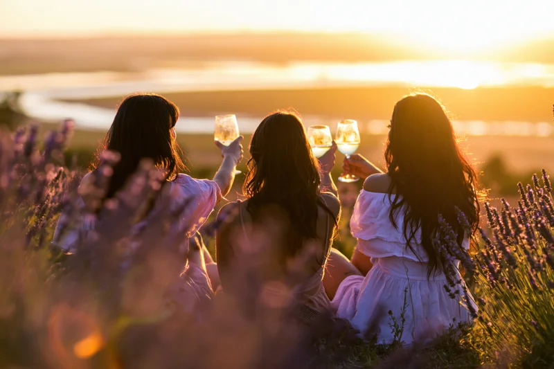 Three young women toasting with wine glasses in a lavender field at sunset