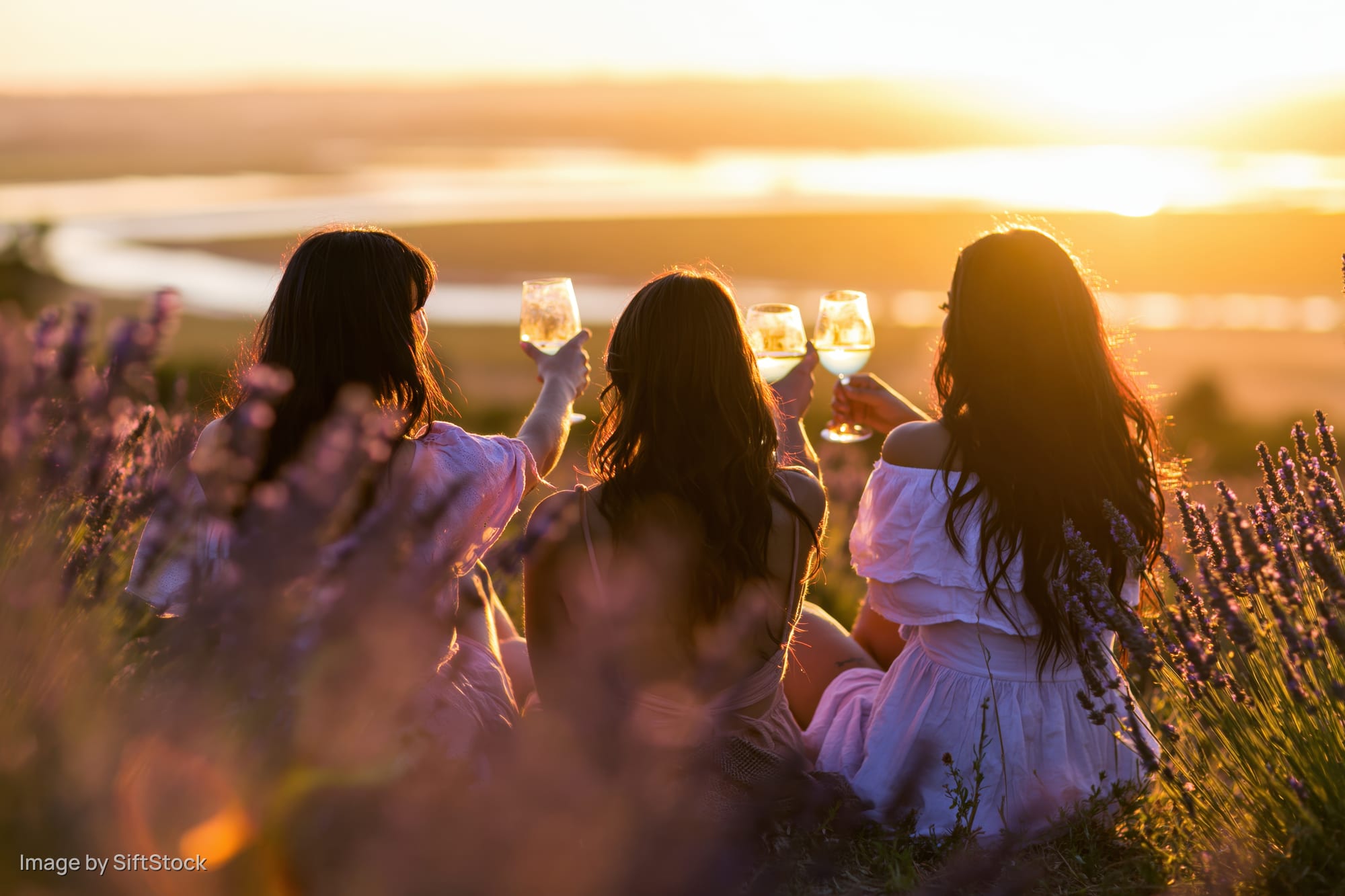 Three young women toasting with wine glasses in a lavender field at sunset