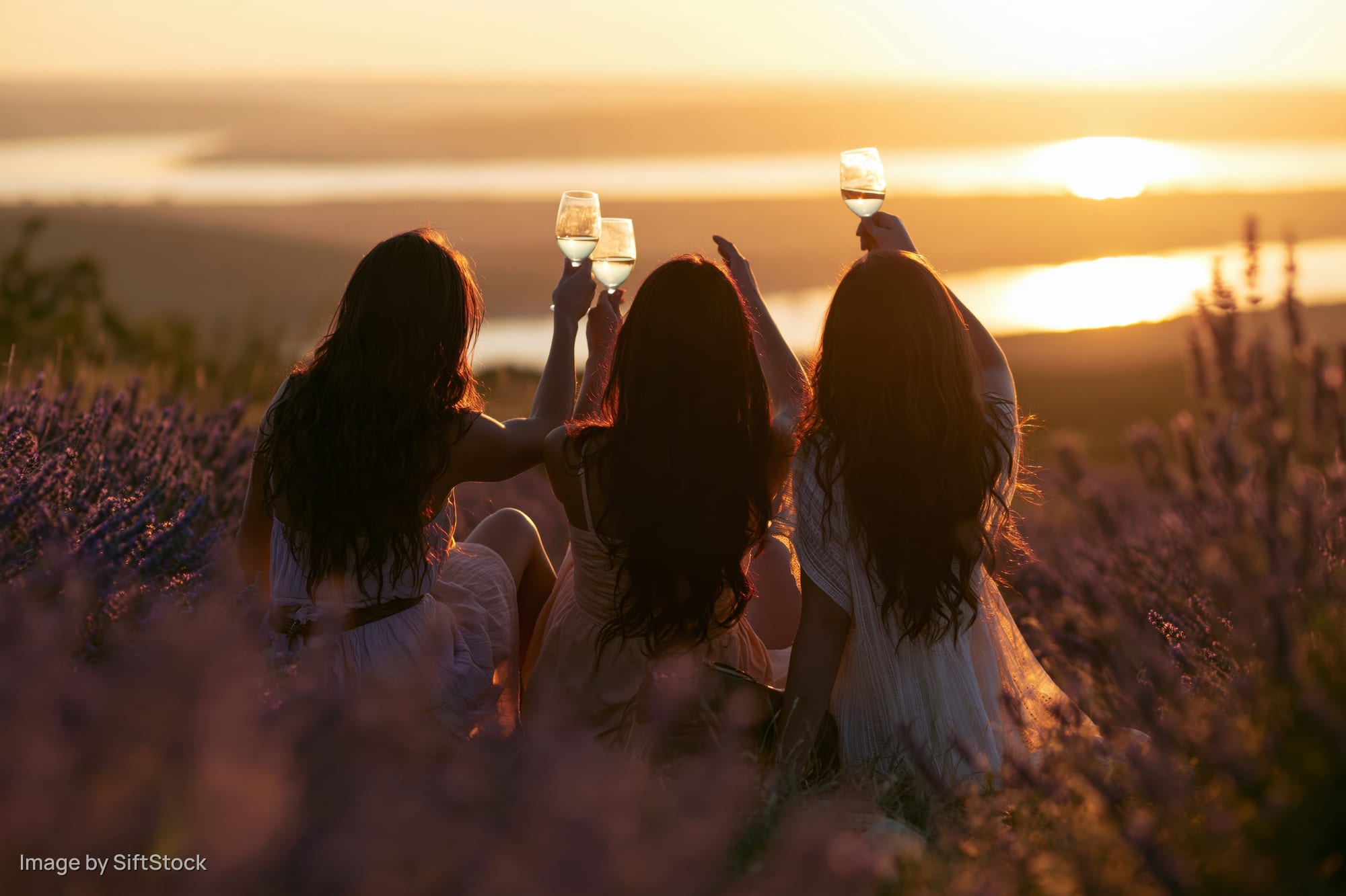 Three young women toasting with wine glasses in a lavender field at sunset