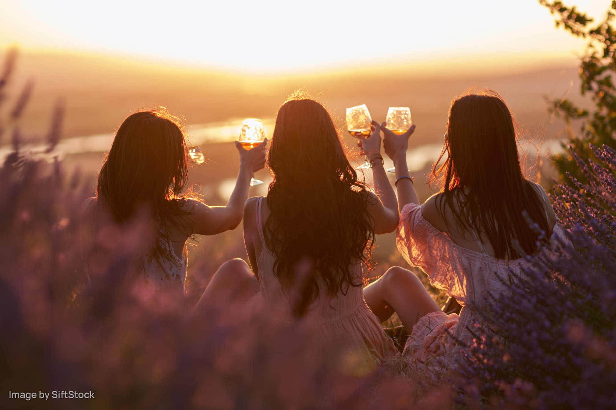 Three women toasting with wine glasses in a lavender field at sunset