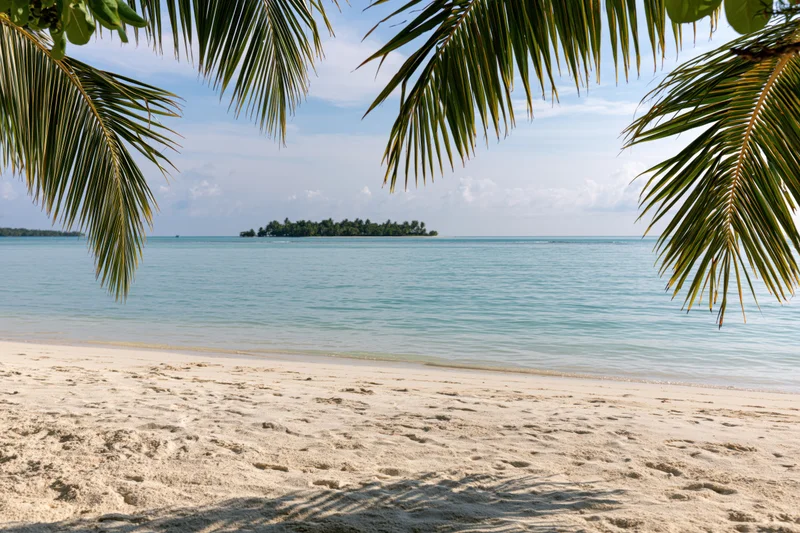 Tropical beach with white sand and palm fronds framing a distant island across calm ocean water