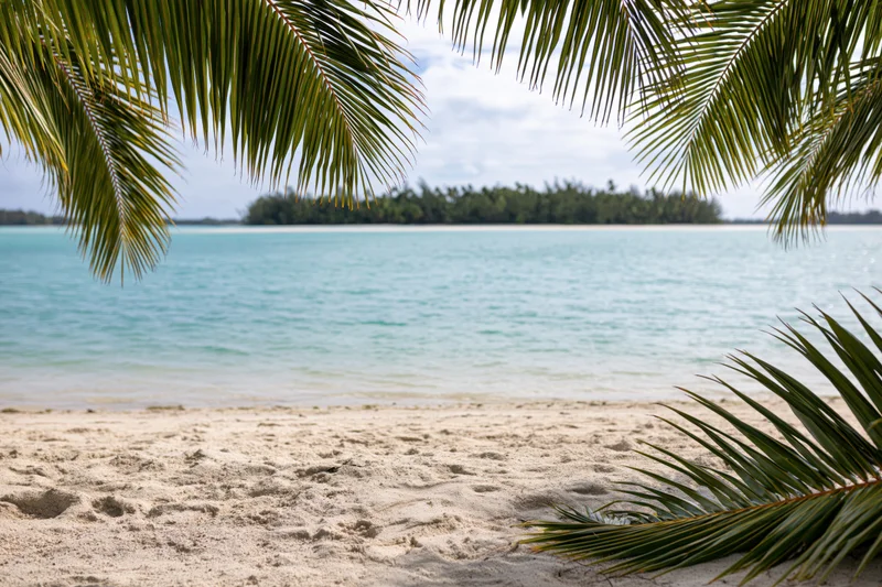 Tropical beach with palm fronds framing white sand and turquoise ocean leading to a distant island